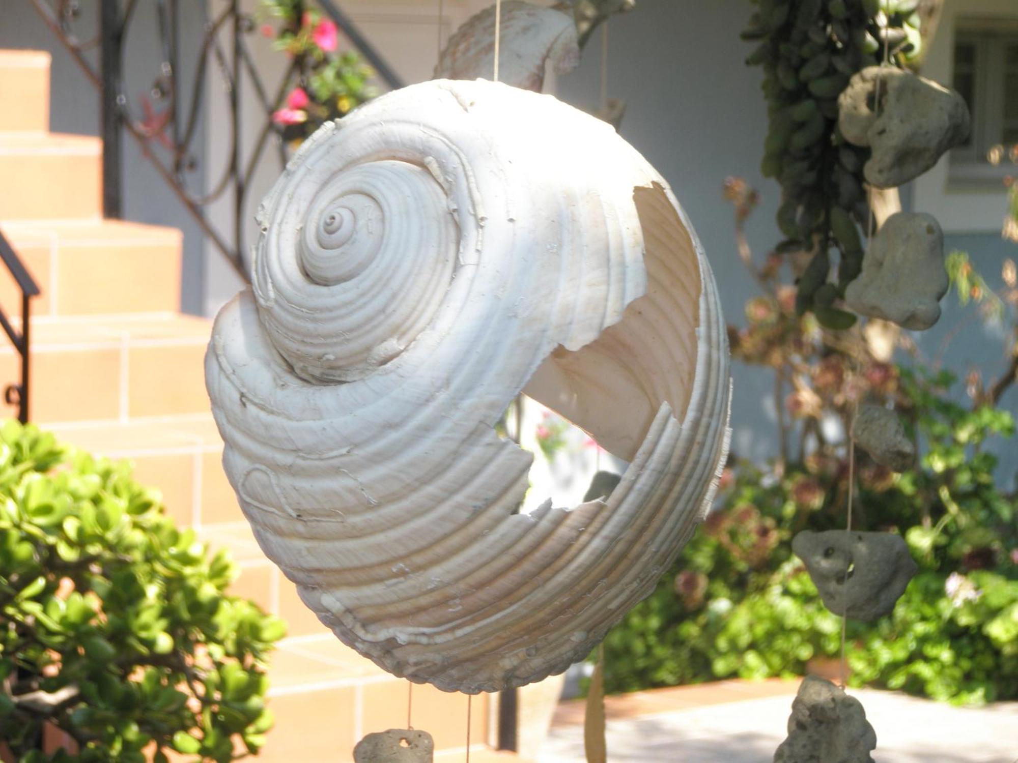 Aeolos Studios Kefalonia Khelmáta Exterior foto
